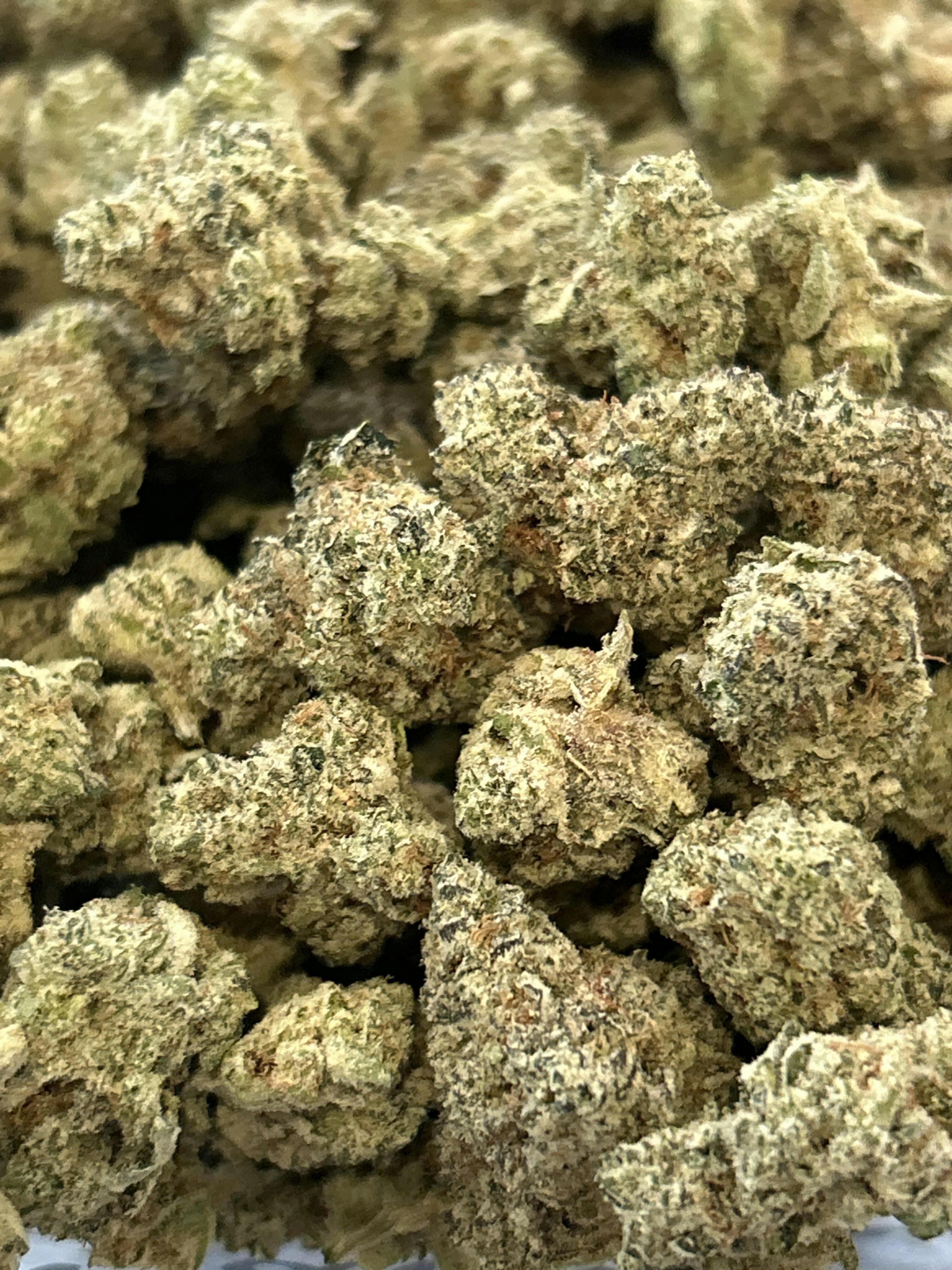 Gary Payton Flower