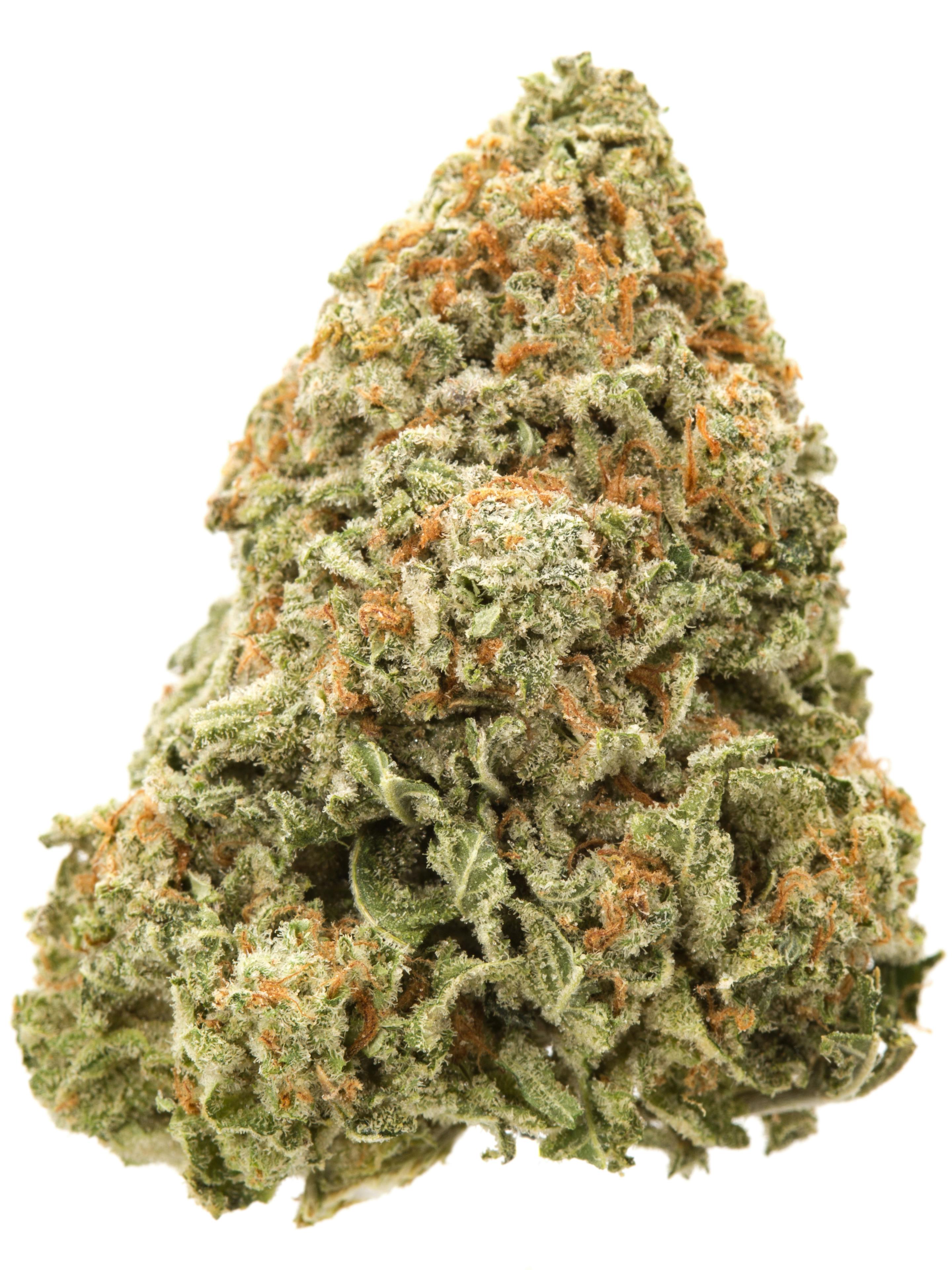 Granddaddy Purps Flower