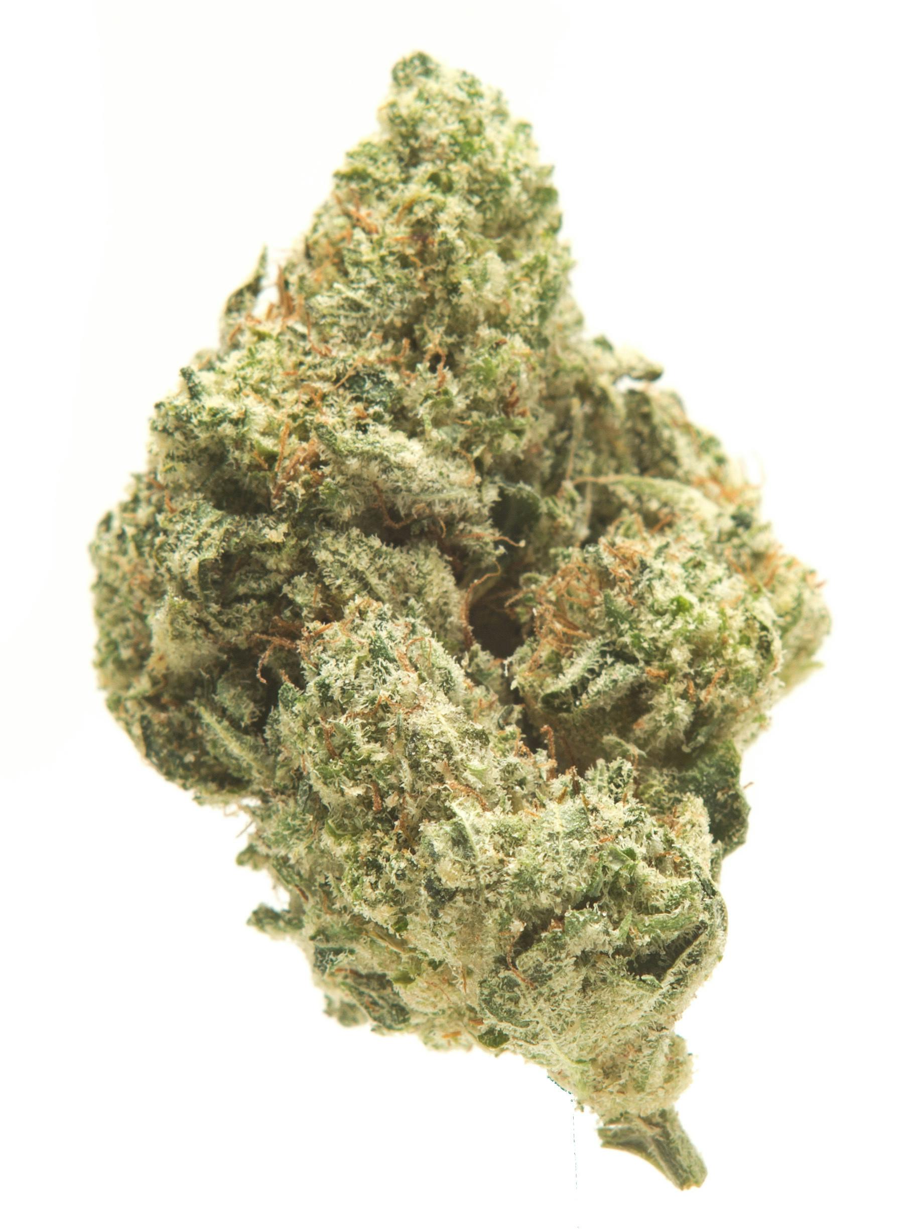Gorilla Glue #4 Flower