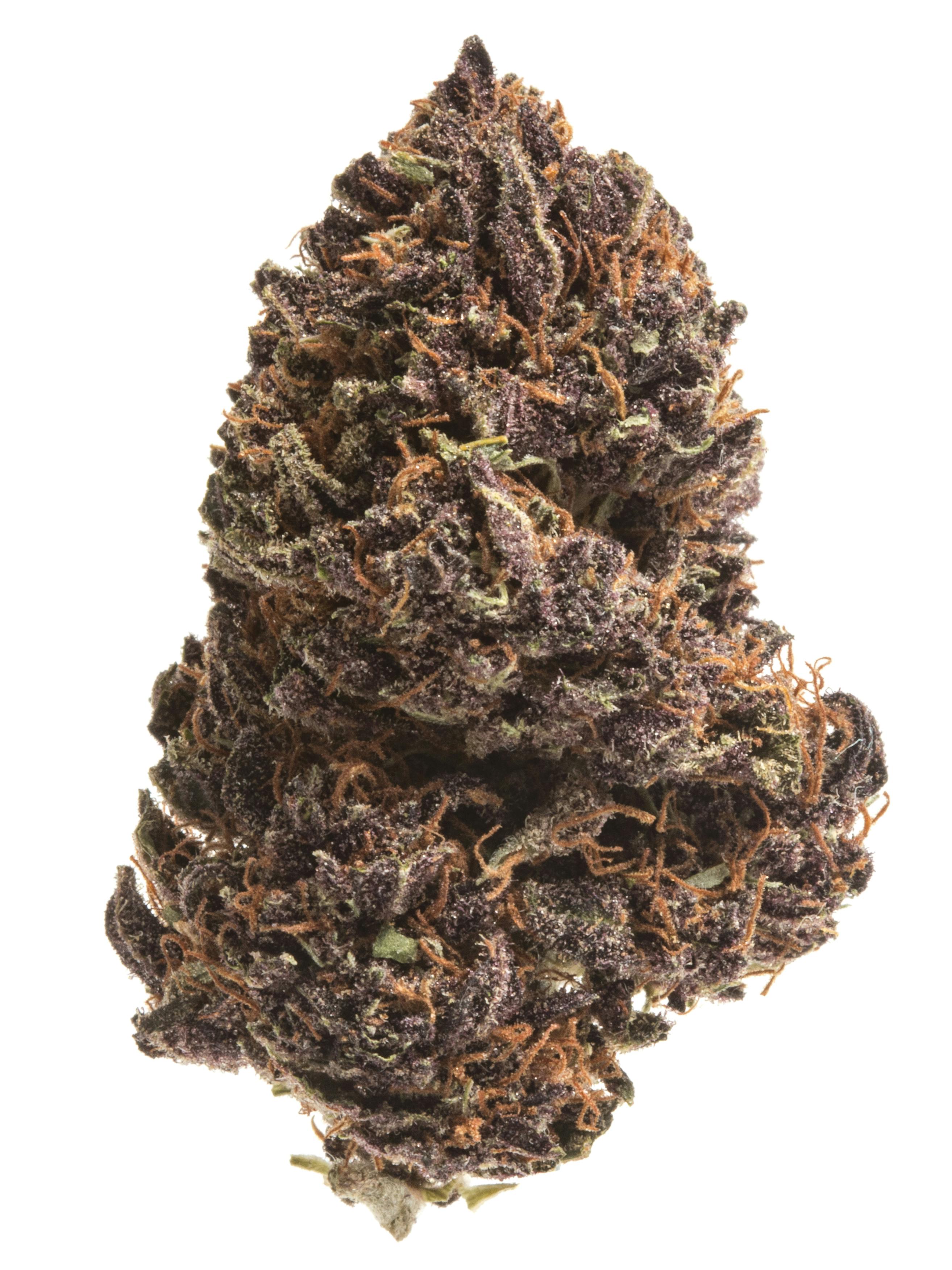 Cherry Squeeze Flower