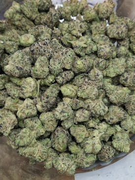 Green Dynasty - Lemon Cherry Gelato