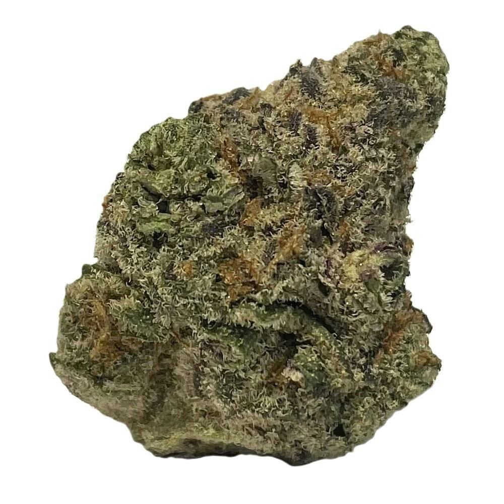 SOZO | GLITTER BOMB | BULK FLOWER