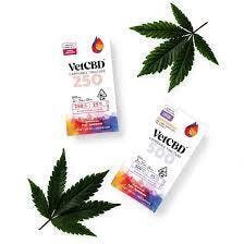 VETCBD | 2:1 CBD:THC REGULAR STRENGTH | TINCTURE | 1000MG