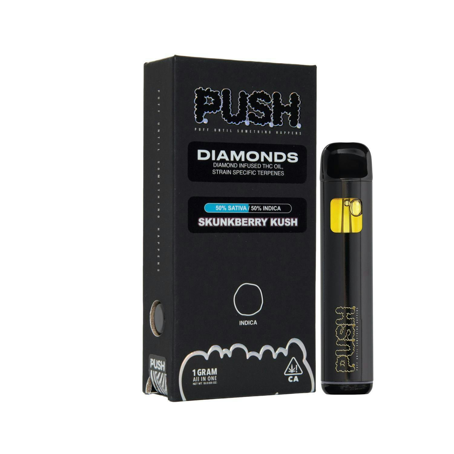 PUSH | KIWI BERRY | AIO PUSH PEN | 1G