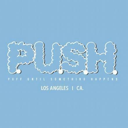 PUSH | Peach Spritzer | Disposable Vape | 1g