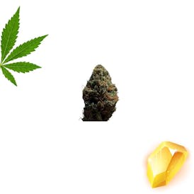 Golden Nugget