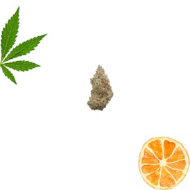 Everglades OG