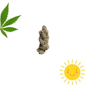 Sunny D