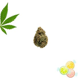 Lemon Candy