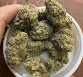 $5 Payton Pie (I) 1g