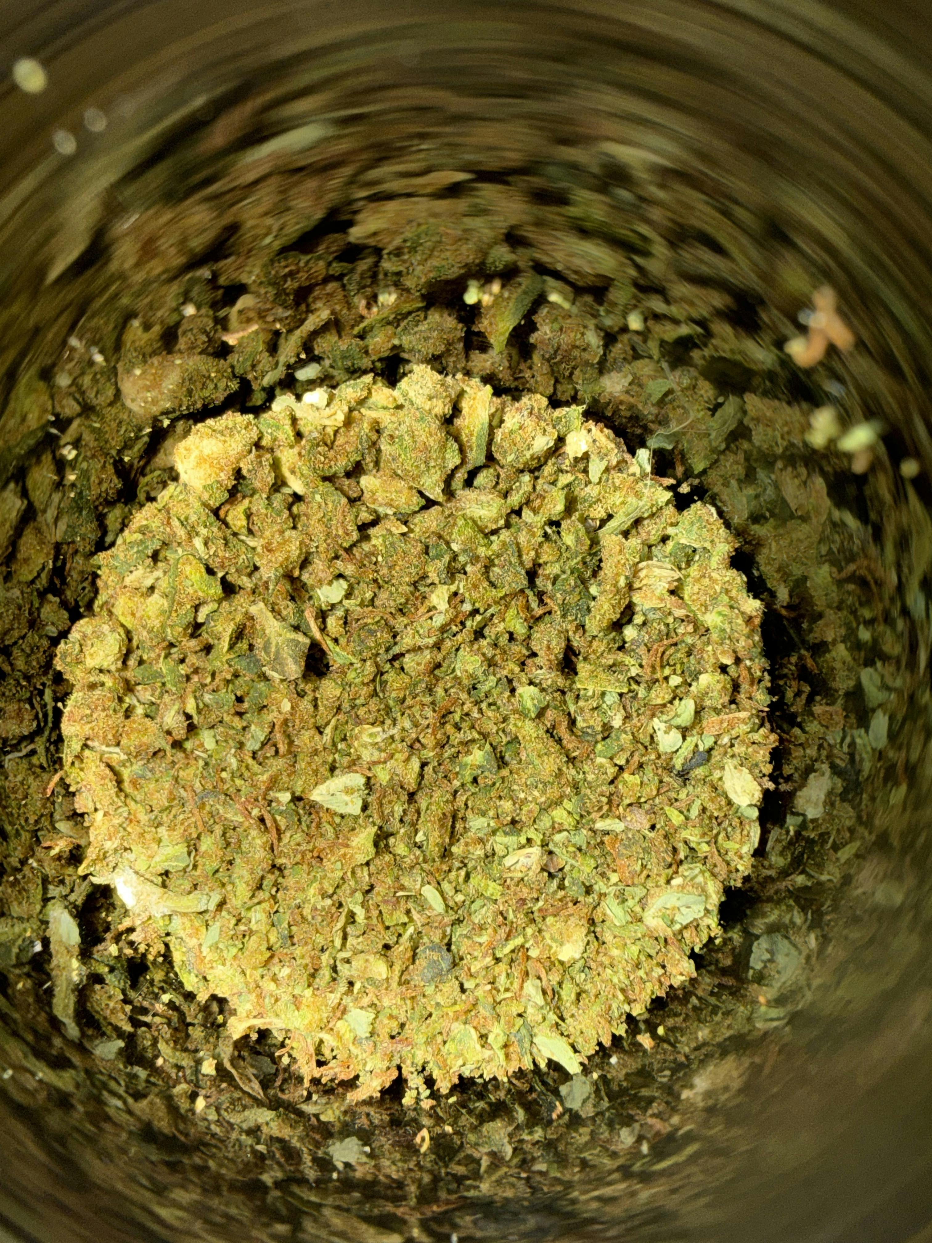 Lemonhead Delight