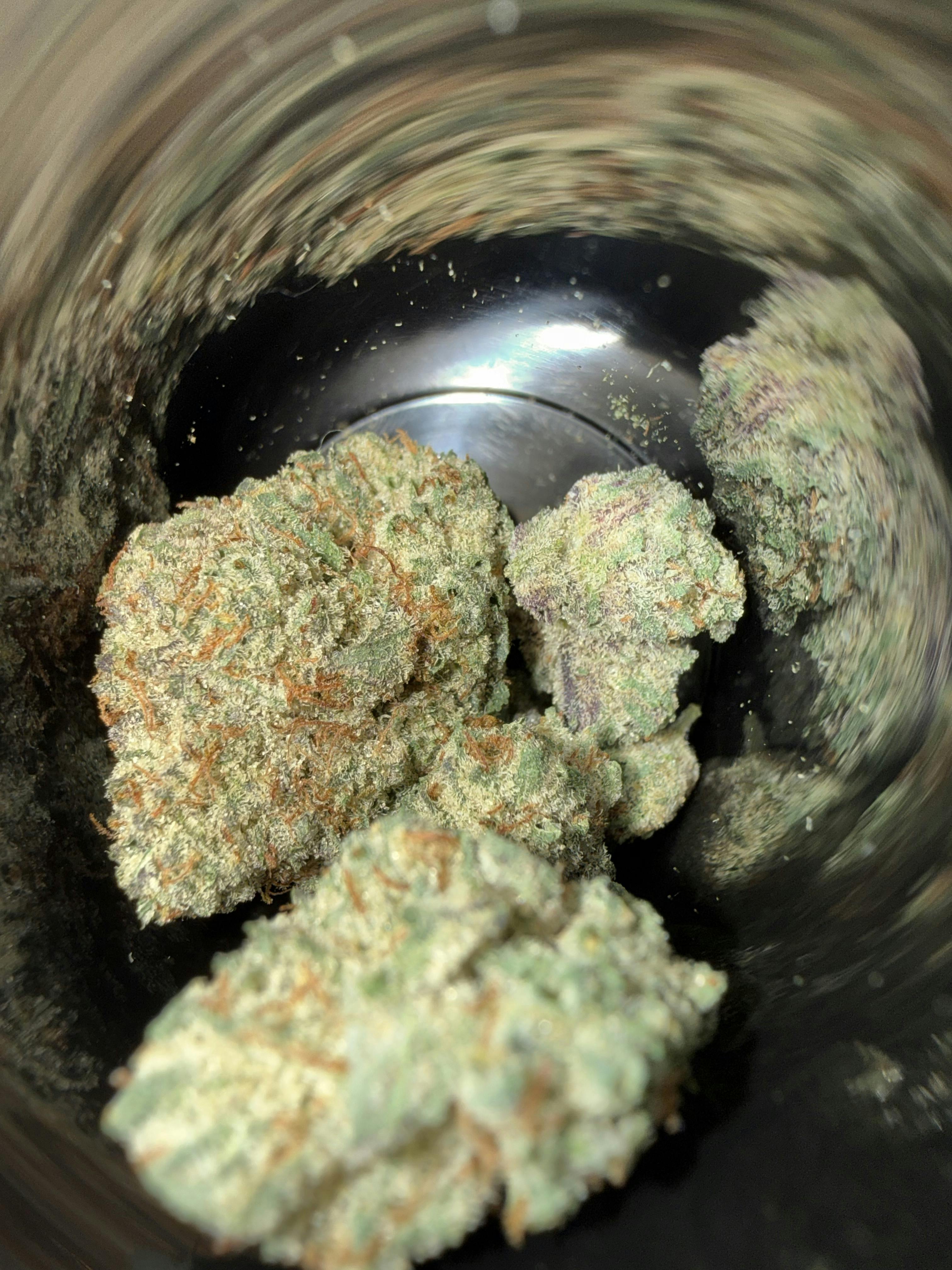 Grease Monkey