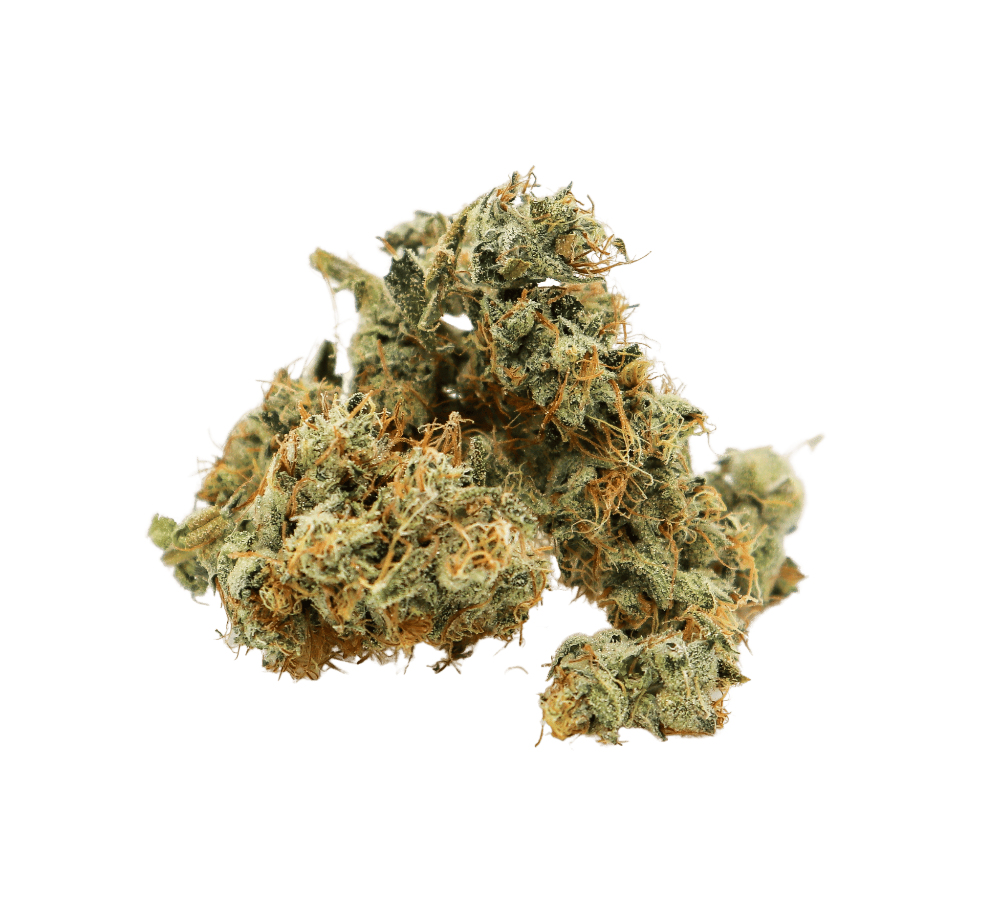 Alien Cheese
