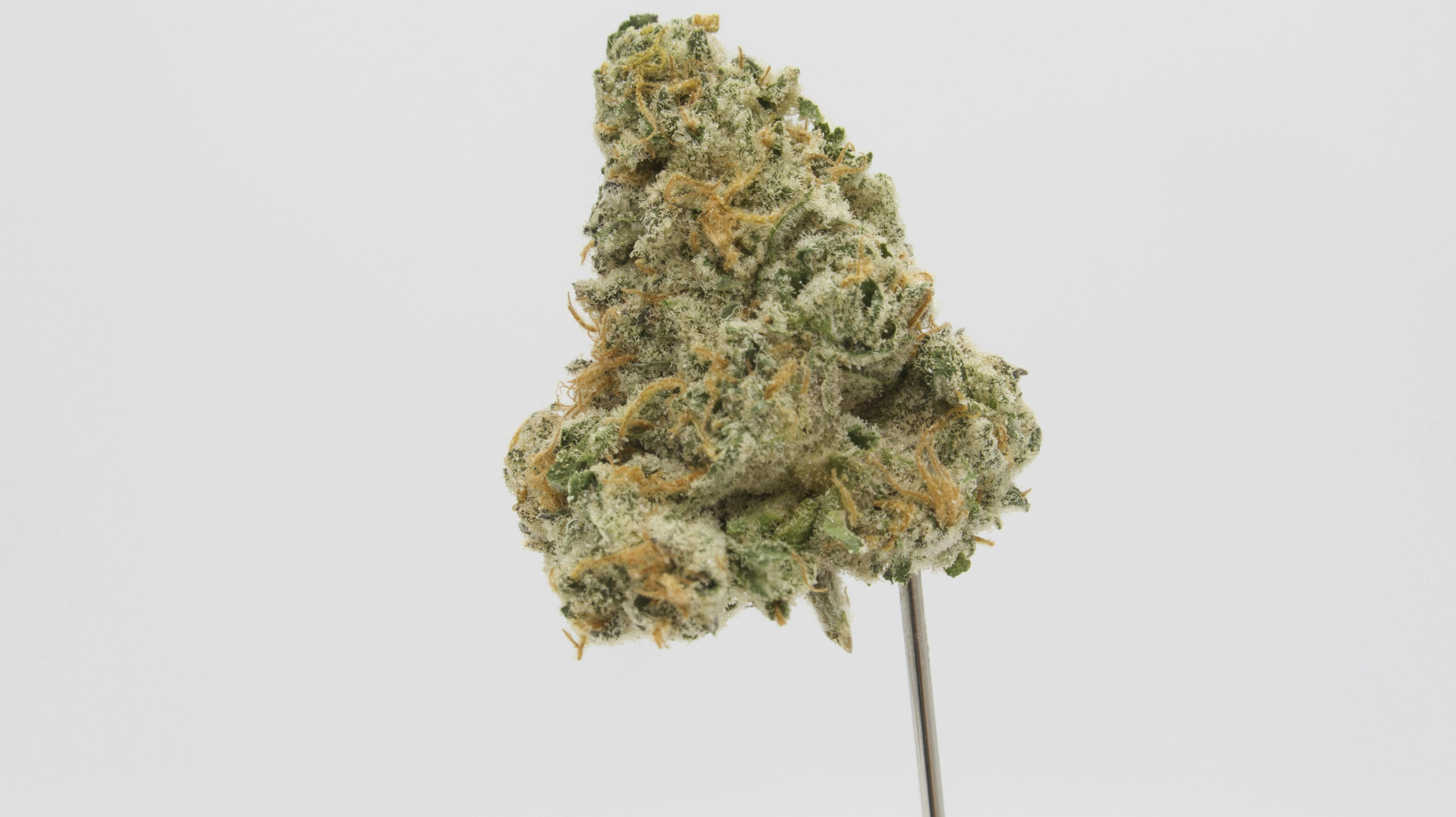 Poly Juice #4