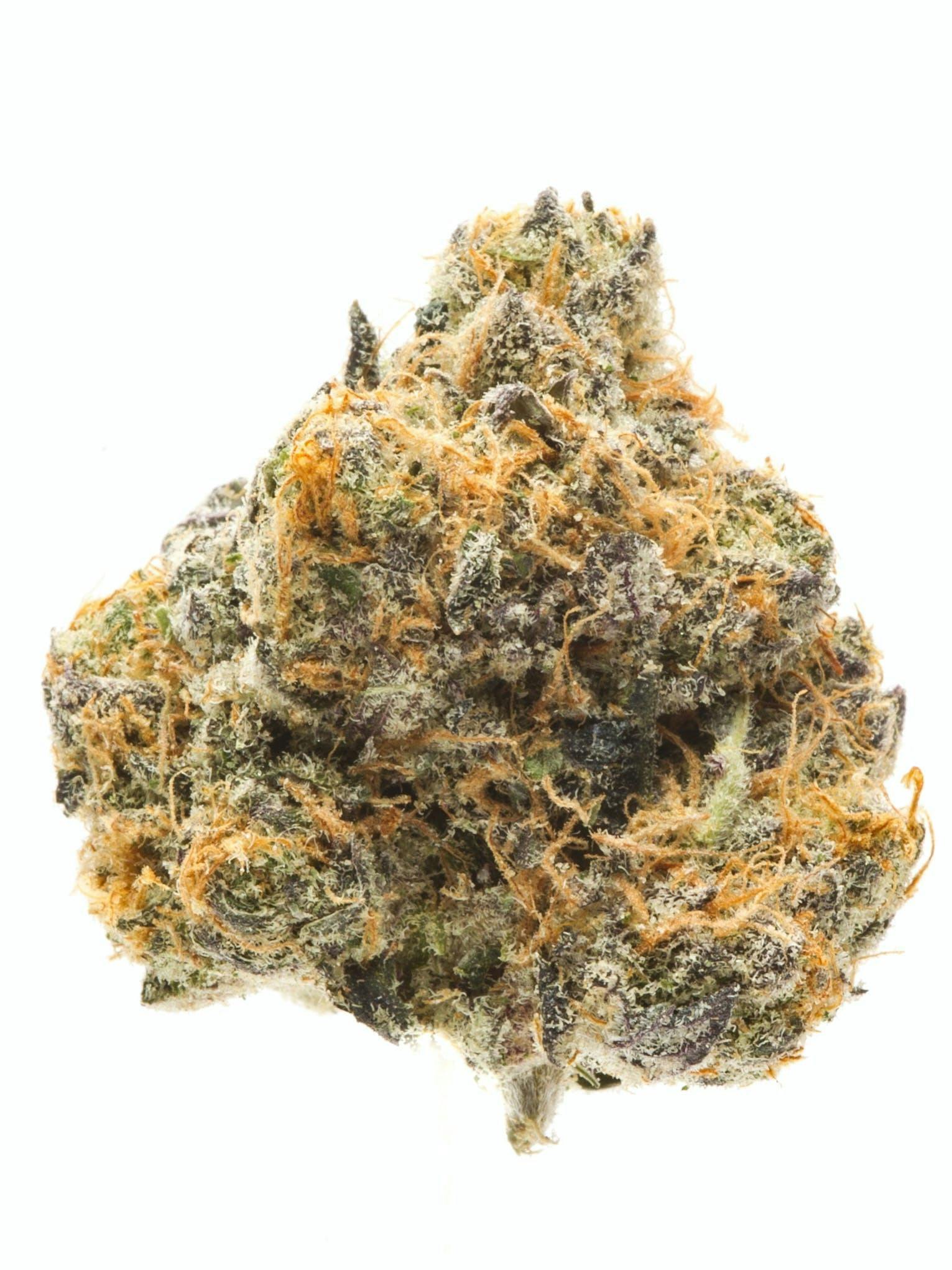 Blueberry Headband 7g