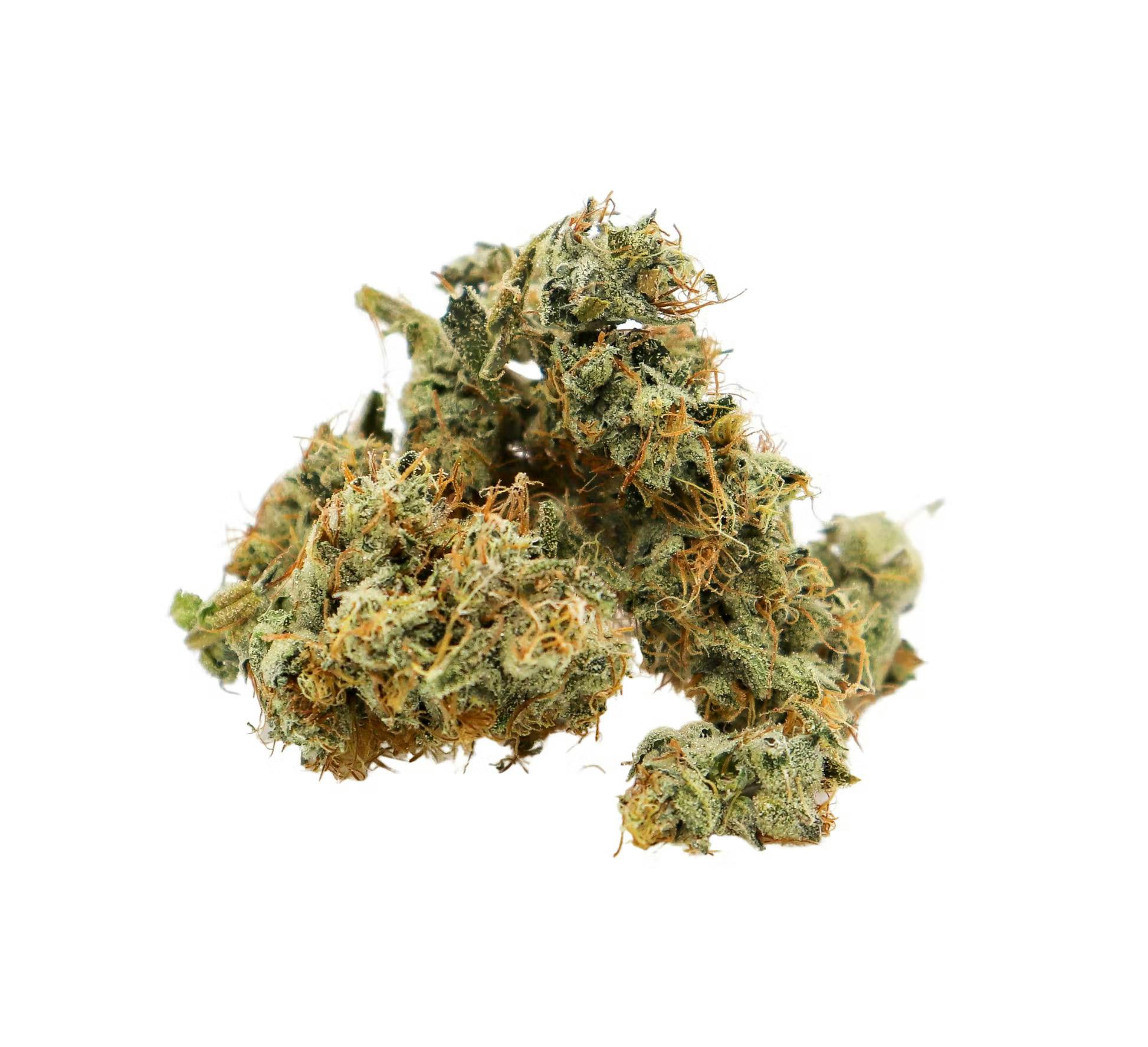 Alien Cheese Small Bud