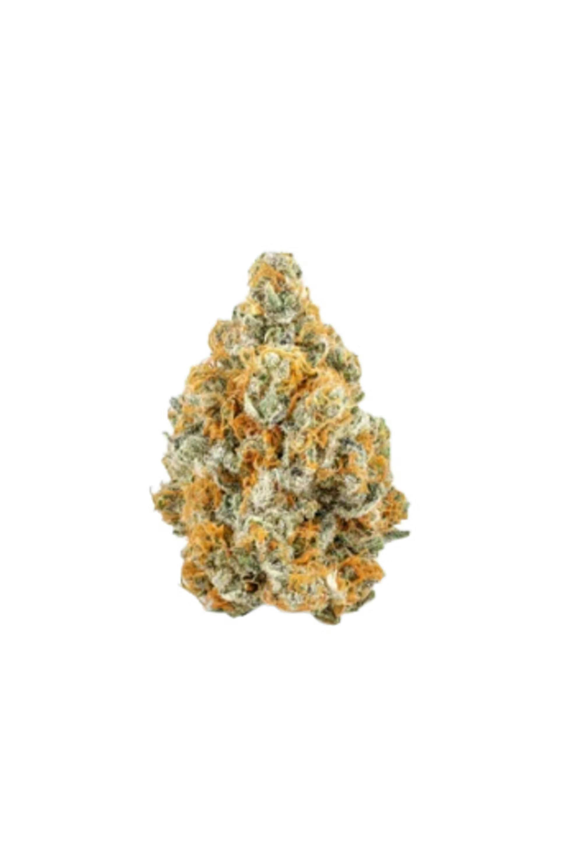 Deadlights Small Bud