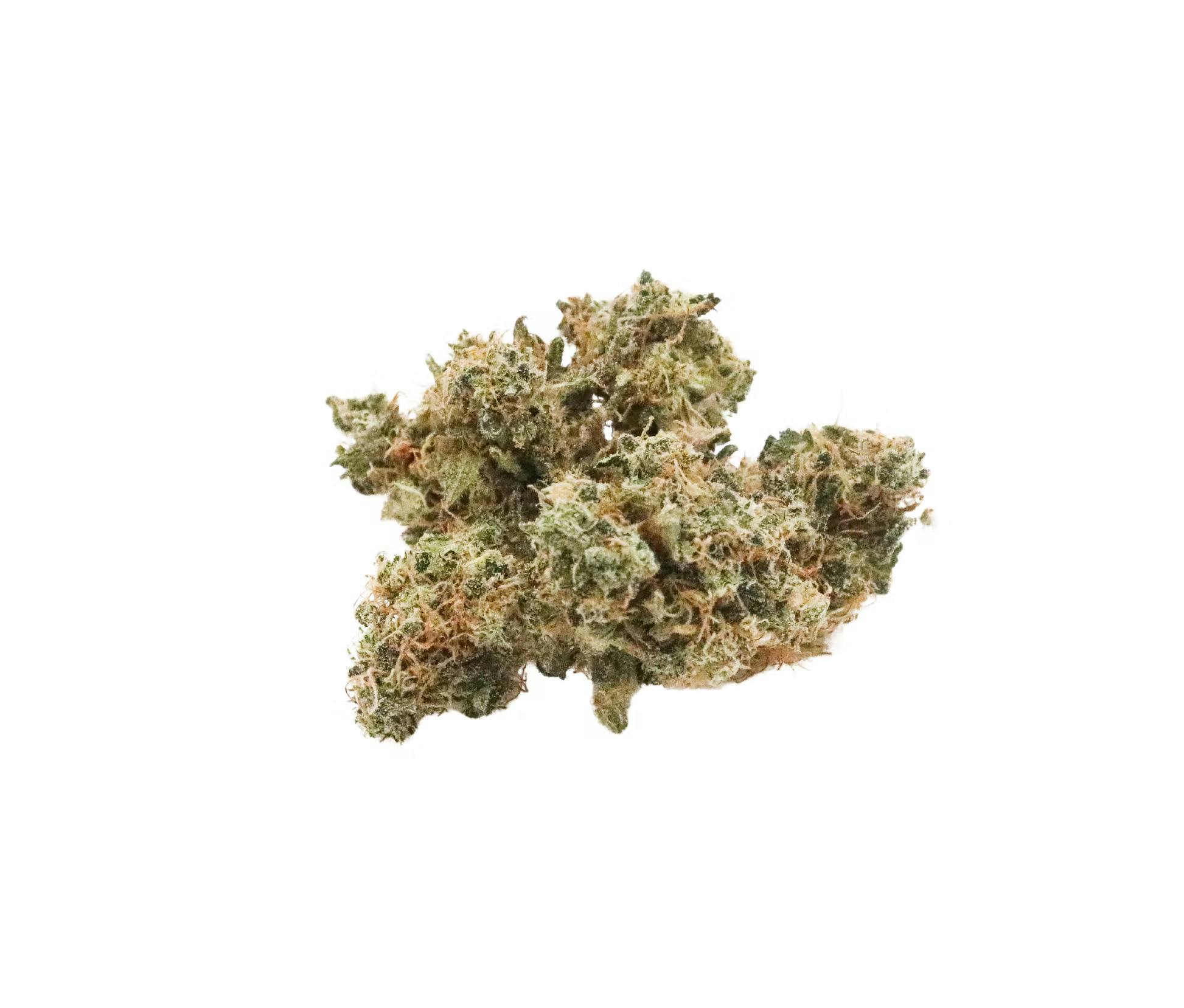 Point Break Small Bud