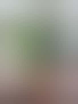 Ice Cream Cake 1g Disposable Vape