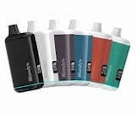 Randy's Inspo Plus 510 Vaporizer