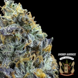 Cherry Goddes Smalls | Gas Diehler | 3OZ/$100