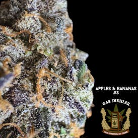 Apples & Bananas #3 | Tier 1