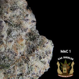 M.A.C. 1 | Tier 1