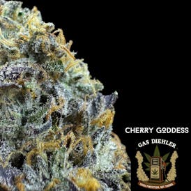 Cherry Goddess | Tier 2