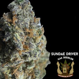 Sundae Driver | Tier 2