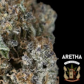 T1 ARETHA 28G/$100 OTD