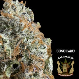 Susucaru Smalls | Gas Diehler | 3OZ/$100