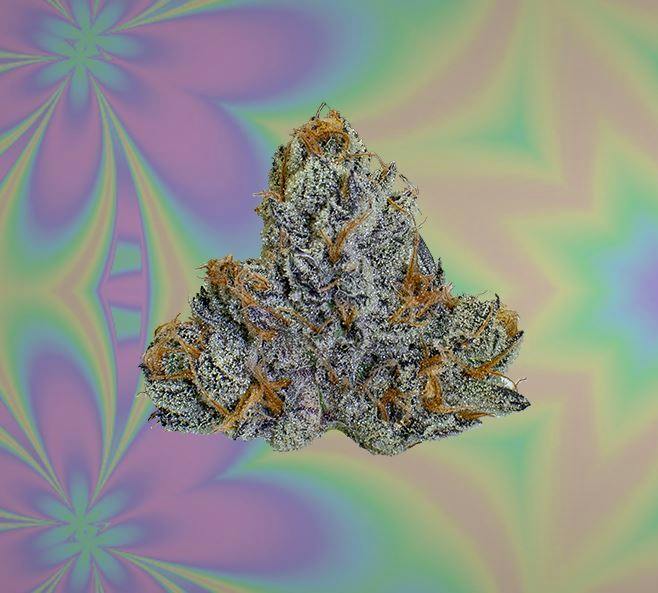 Cadillac Rainbows Buds 3.5g Prepacked by Fractal