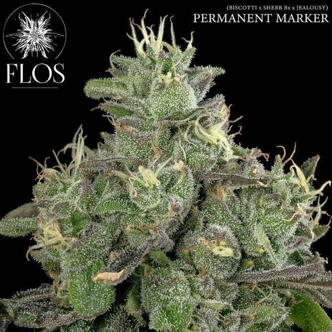 Permanent Marker #5 14g Jar by Flos