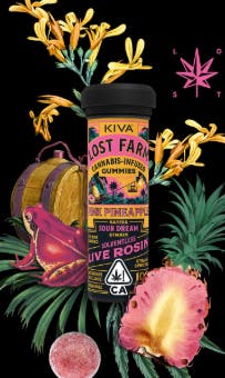 Pink Pineapple 'Sour Dream' Live Rosin Gummies | 100mg | 10ct | 10mg/ea