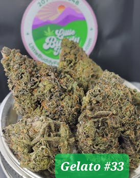Gelato #33 - Larry Bird Cut - Flower
