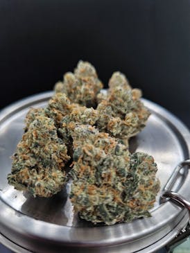 Northern Lights