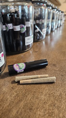 6 Mimosa Dogwalker PreRolls