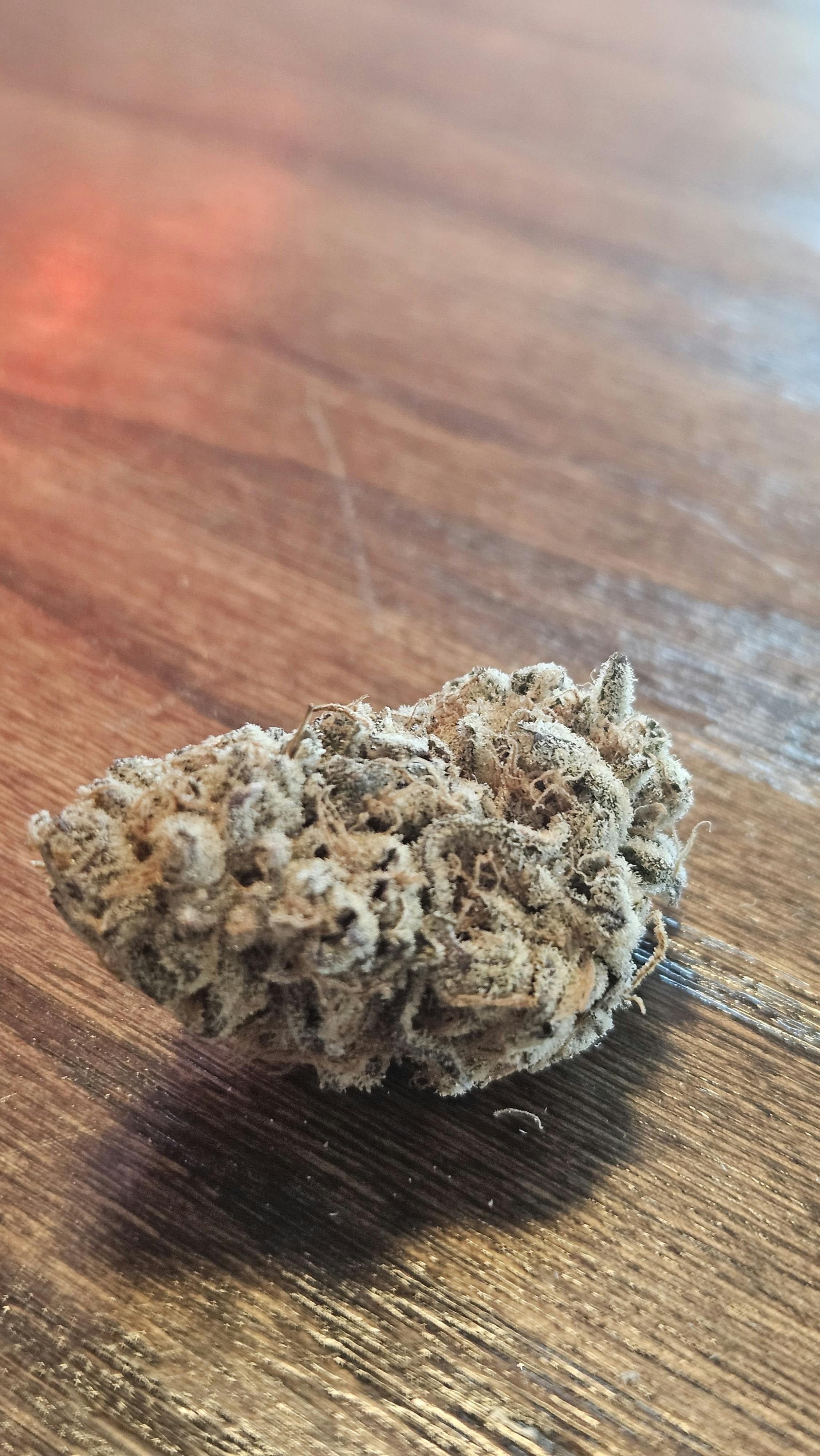 Snow Cone - Flower