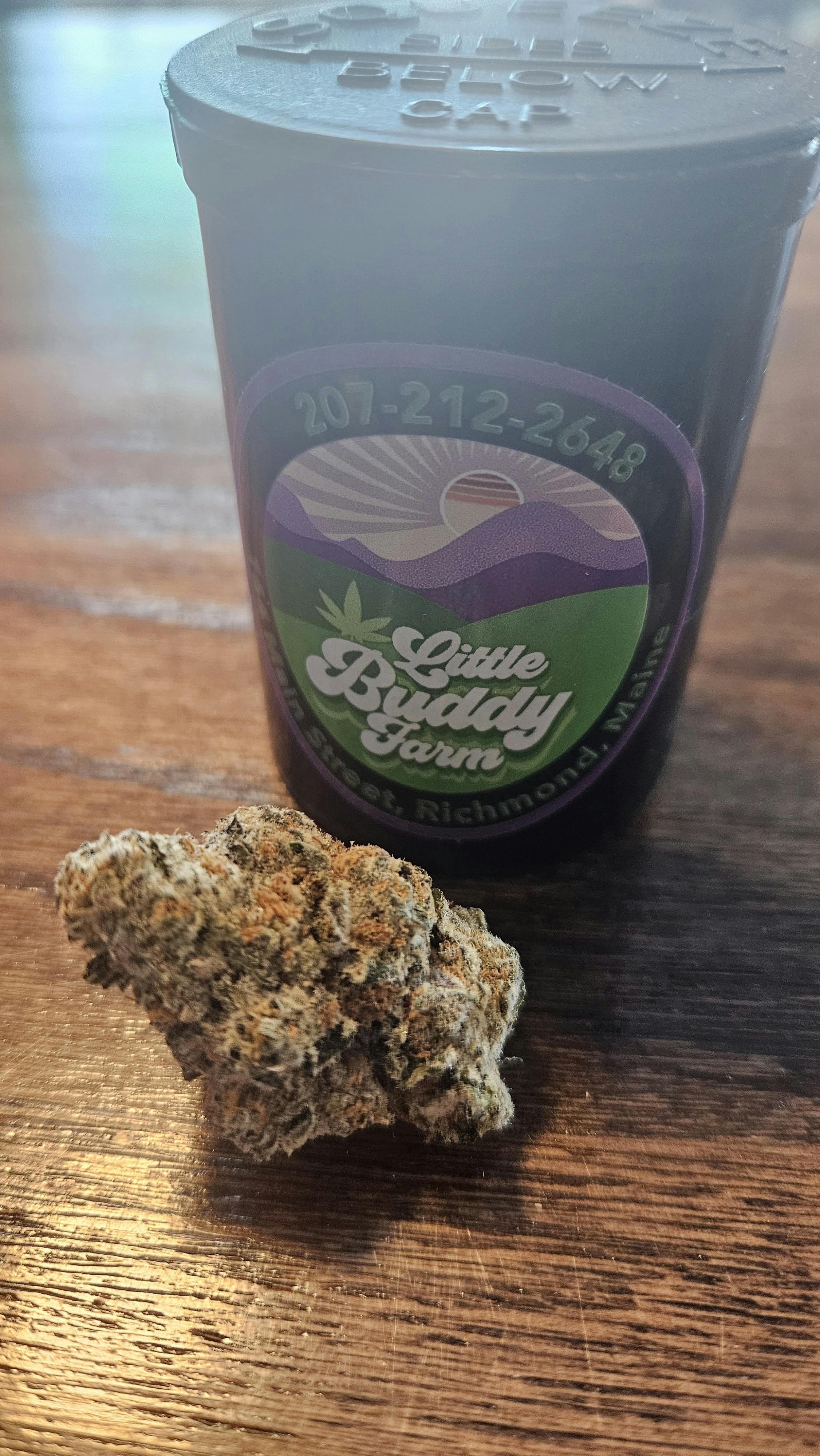 Purple Punch Flower