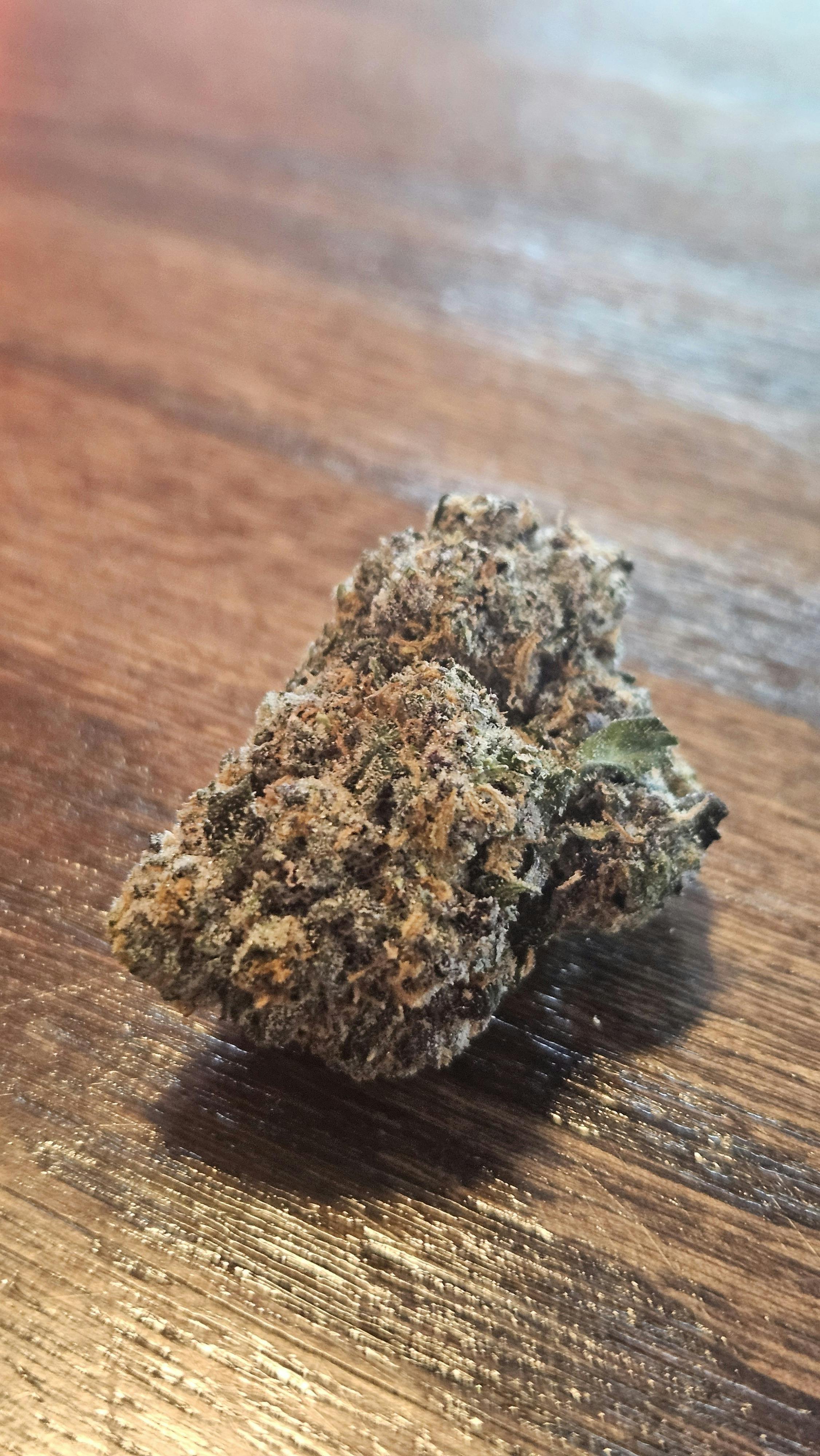 G6 - Flower