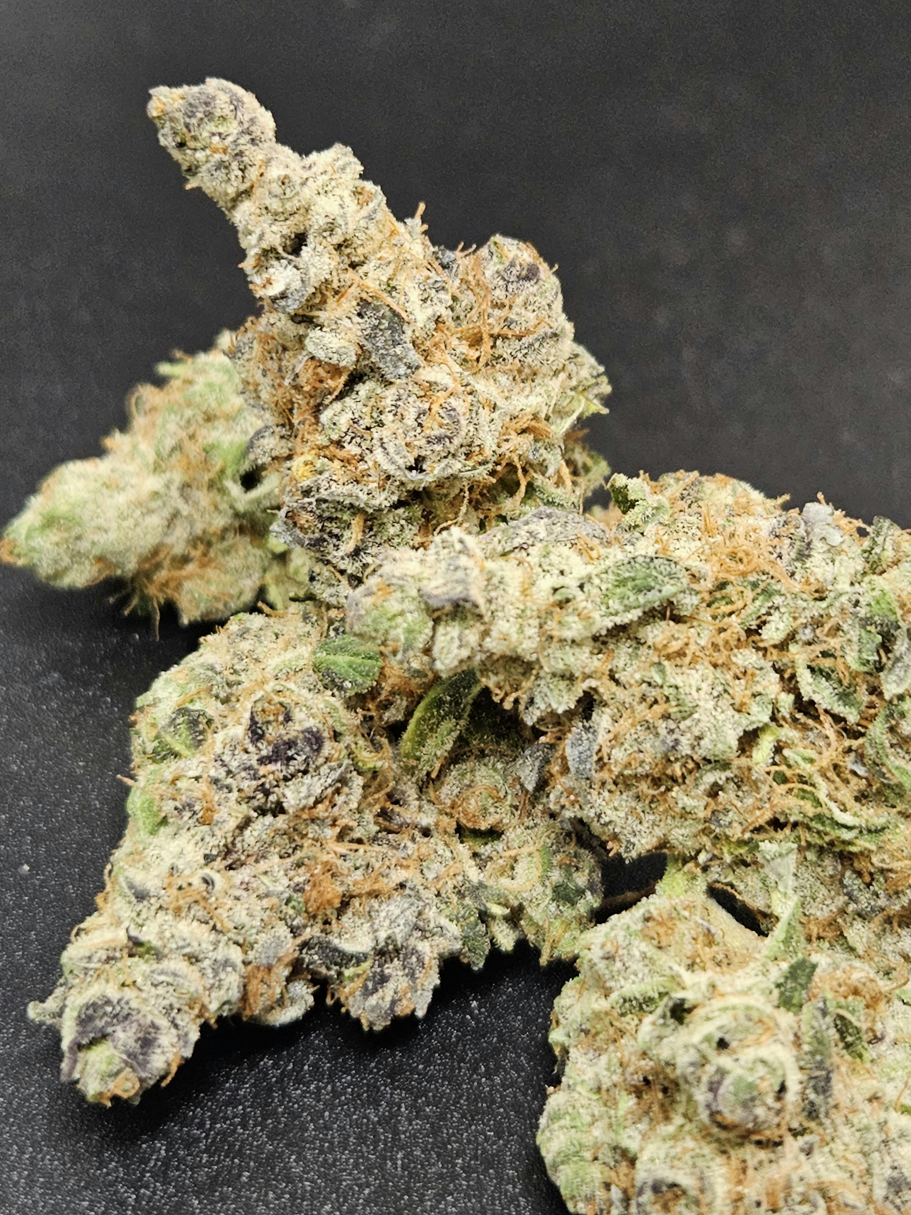 Gorilla Glue #4 - Flower