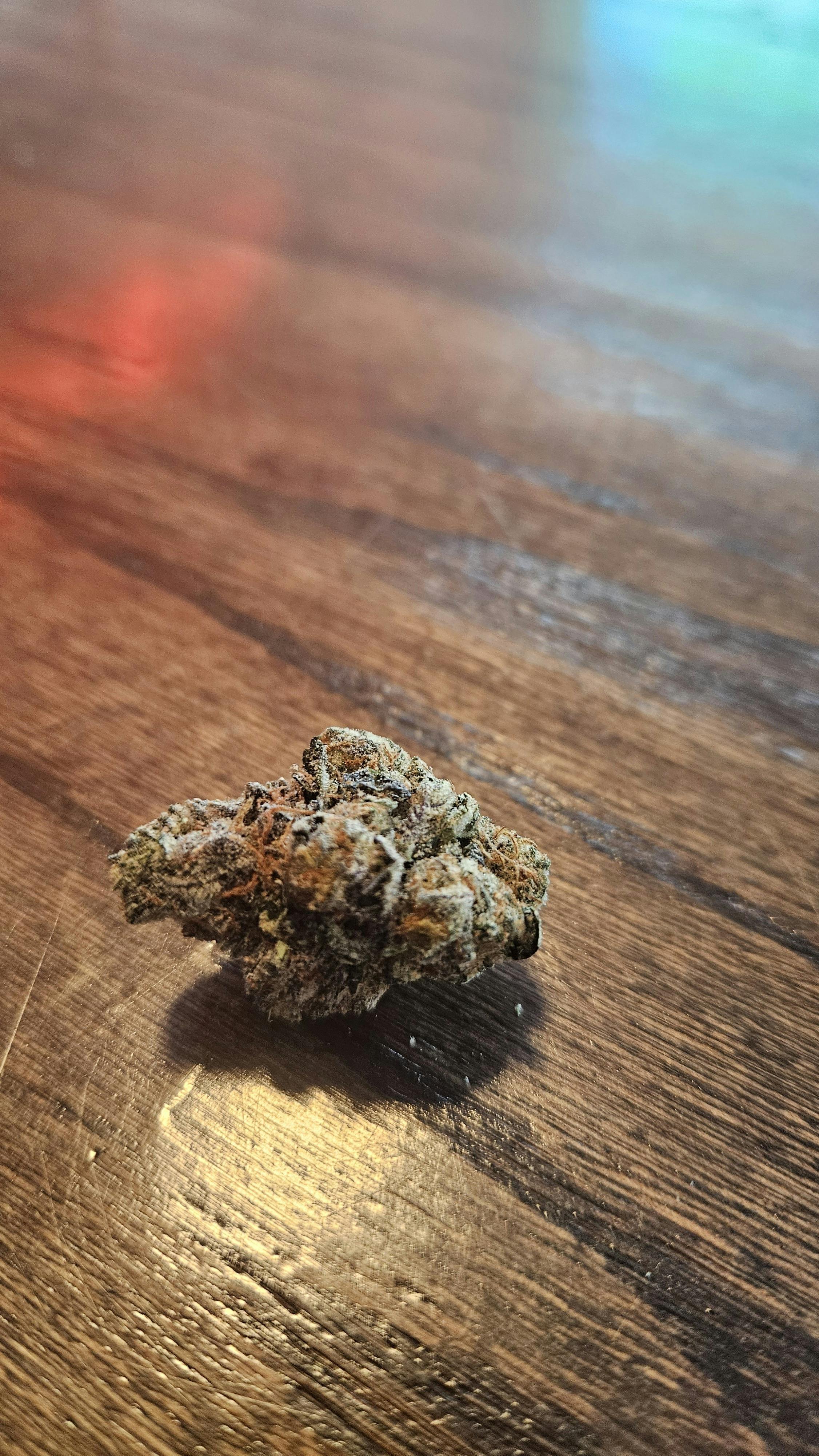 Gelato #41 Flower
