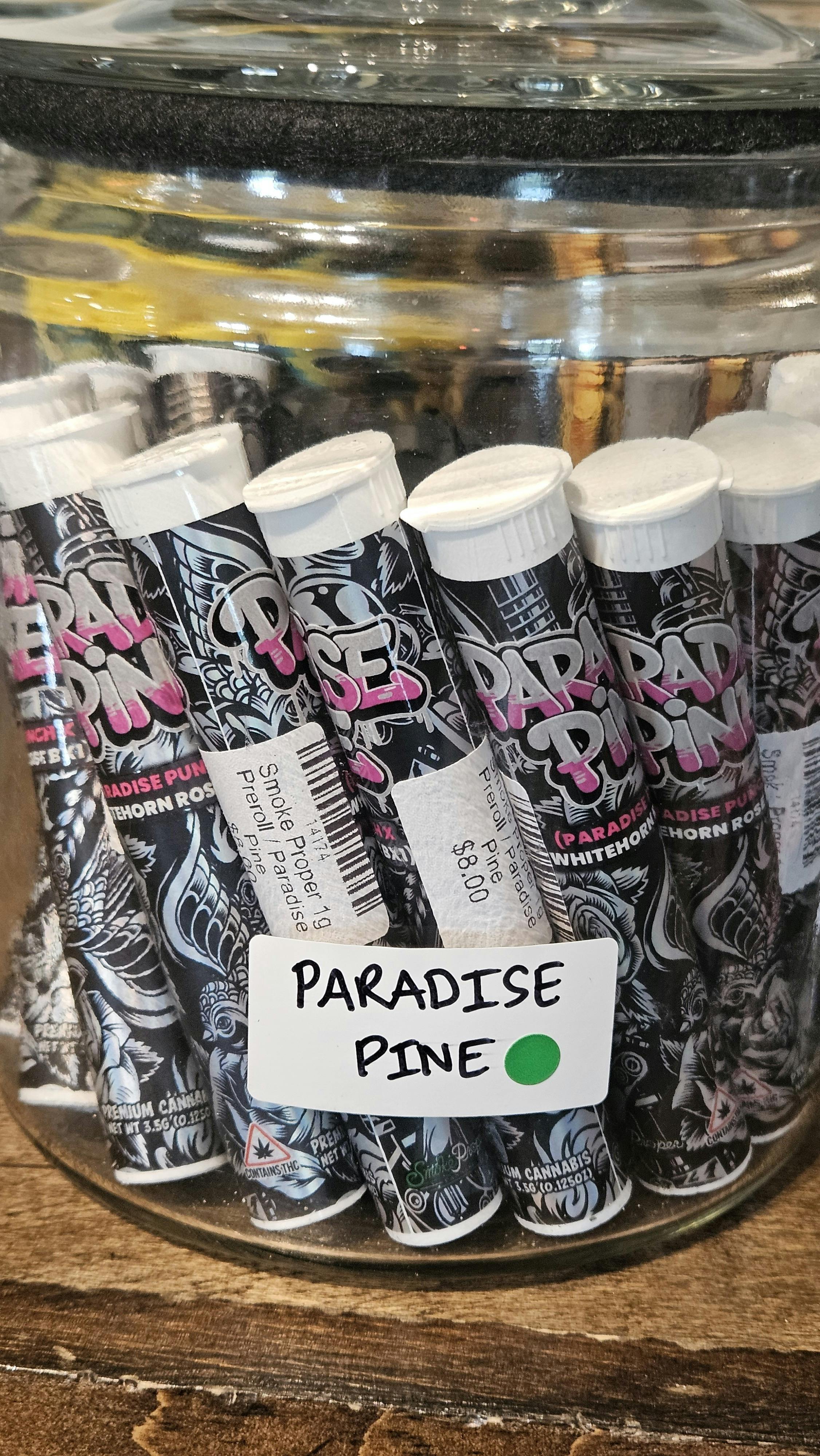 Paradise Pine - 1G Preroll