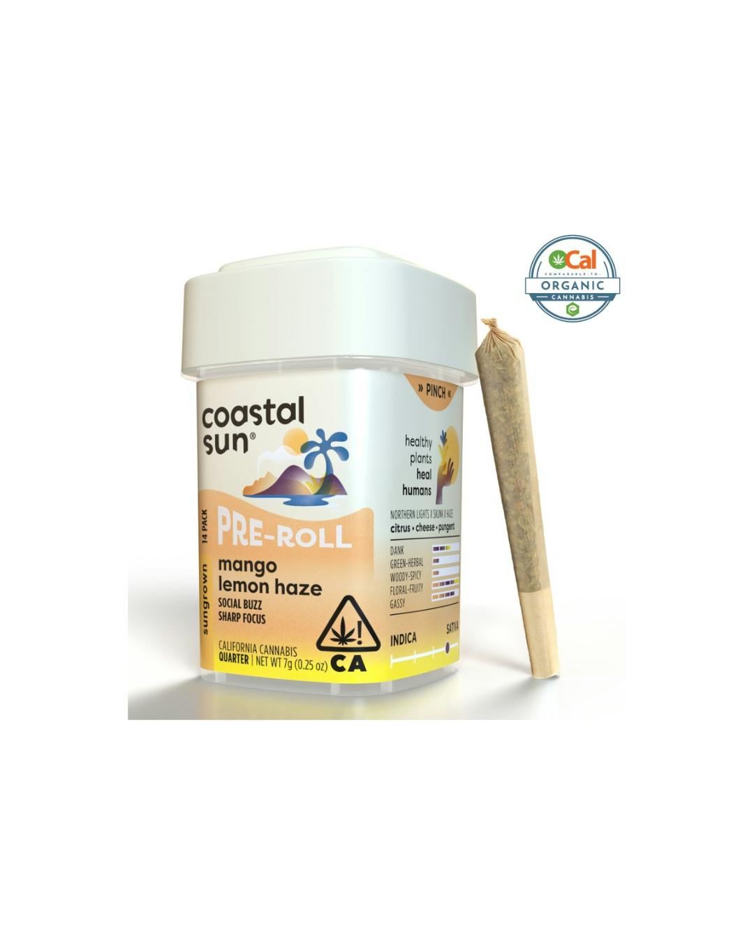 Coastal Sun | Mango Lemon Haze | Mini Joints | 0.5g | 14pk