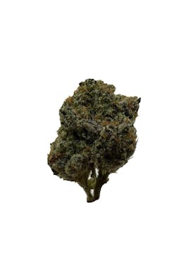 Medusa's Eden - Watermelon Zkittlez