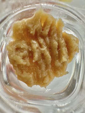 Medusa's Eden - WATERMELON PAPAYA Rosin