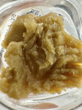 Medusa's Eden - WATERMELON SUNSHINE Rosin