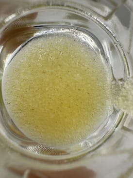 Medusa’s Eden - LEMON CHERRY GAS Sugar
