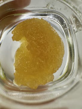 Medusa's Eden - TOKYO BATH Sugar