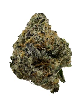 Medusa's Eden - ANIMAL KUSH MINTZ